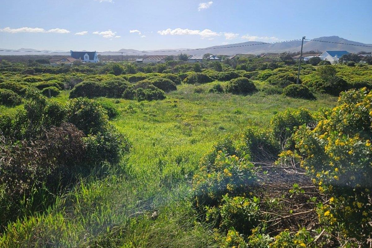 A view of the vacant commercial land featuring natural coastal vegetation and surrounding residential landscape in the distance.