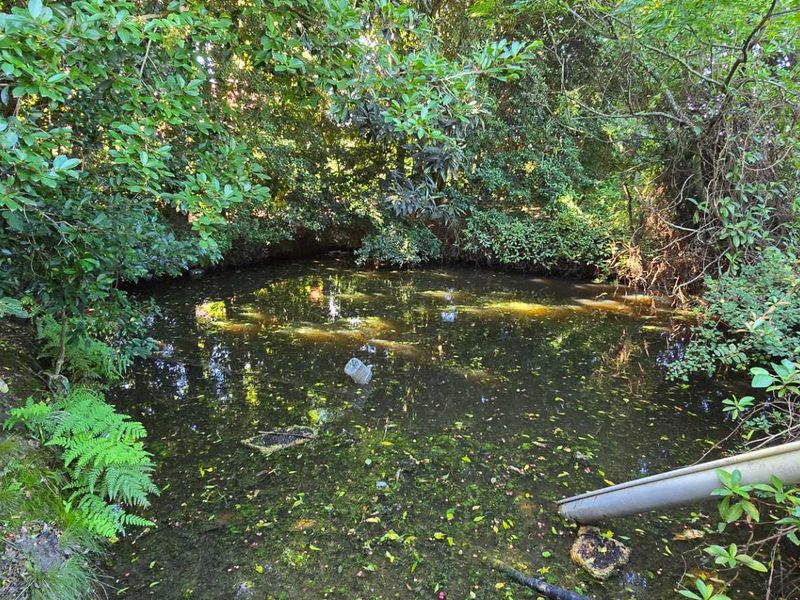 Charming Property with Scenic Views in Ruiterbosch - Photo 5