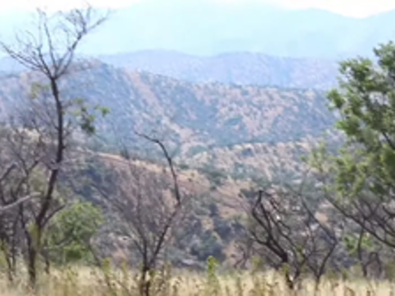 Development Opportunity - Photo 6