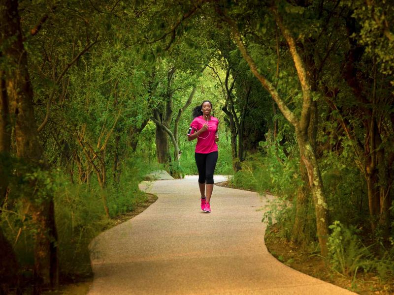 A scenic paved pathway winding through a lush, mature garden setting, offering a peaceful outdoor environment.
