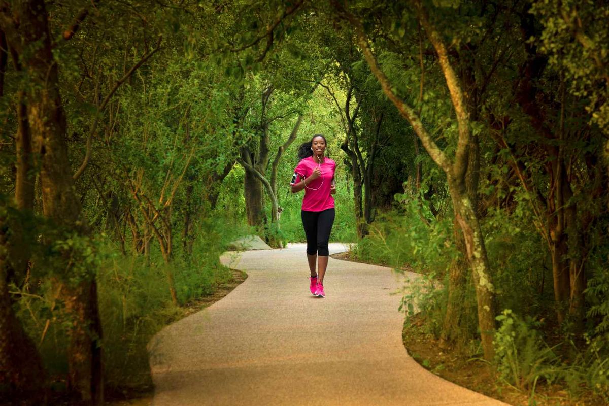 A scenic paved pathway winding through a lush, mature garden setting, offering a peaceful outdoor environment.