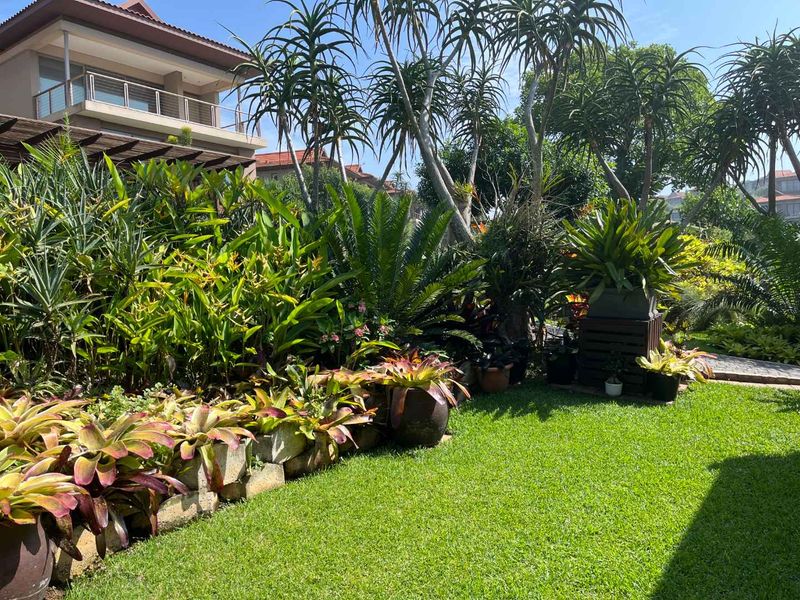 Beautifully apartment in Zimbali Plantation offers a fantastic opportunity for anyone looking for a stylish, low-maintenance home in a prime location - Photo 2