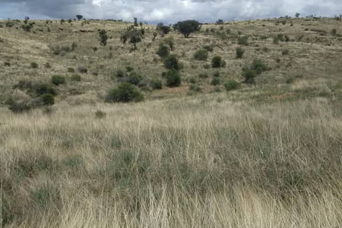 A view of the expansive, undeveloped residential land featuring natural grass terrain and rolling hills under a cloudy sky.