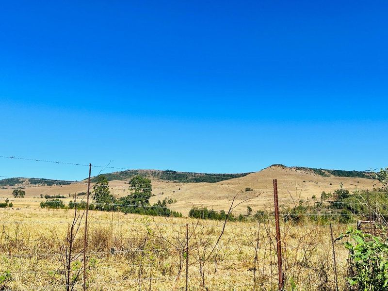 Farm for sale in Vryheid District - Photo 6