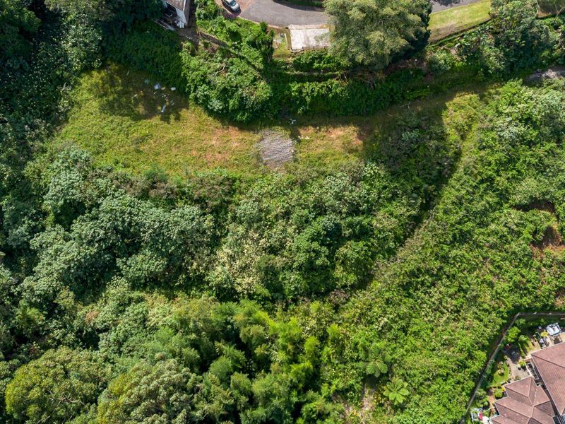 Developmental Opportunities or a Dream Home - Photo 3