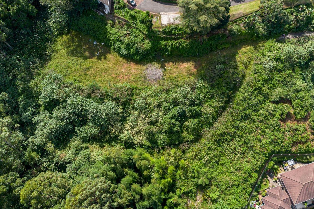 Developmental Opportunities or a Dream Home - Photo 3