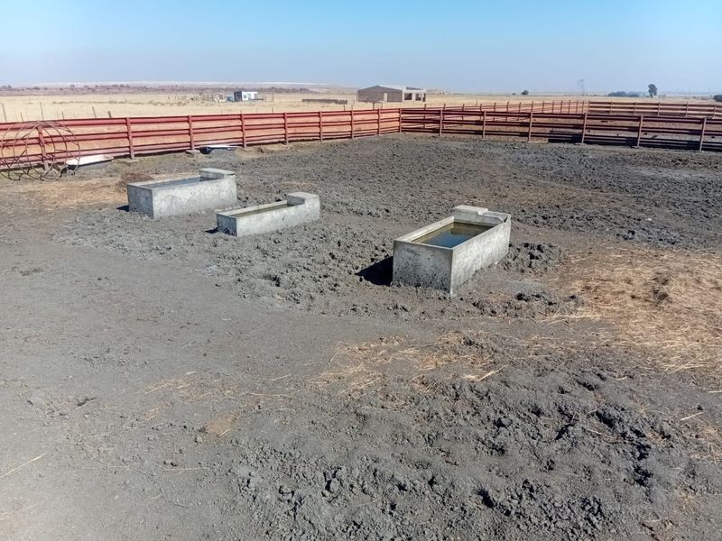 Kraal & Grazing Land to Rent – Withok Estate, Brakpan - Photo 9