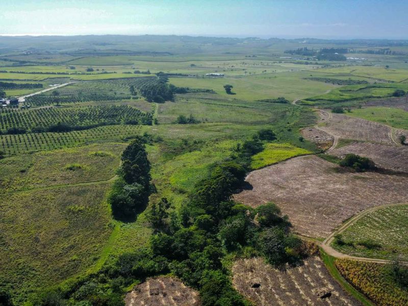 An expansive aerial view of the farm property, showcasing vast agricultural land, established orchards, and surrounding rural landscape.