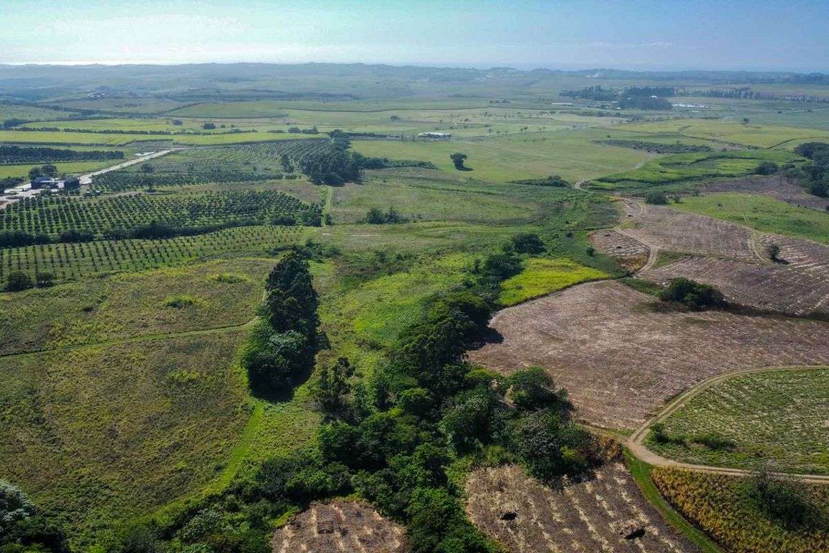 An expansive aerial view of the farm property, showcasing vast agricultural land, established orchards, and surrounding rural landscape.