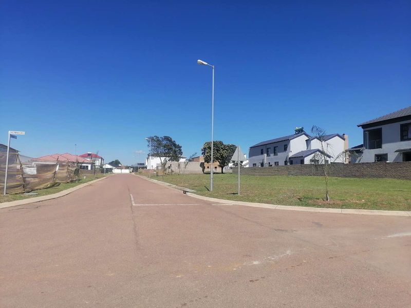 A clear street view of a residential area featuring paved roads, street lighting, and established boundary walls in a well-maintained neighborhood.