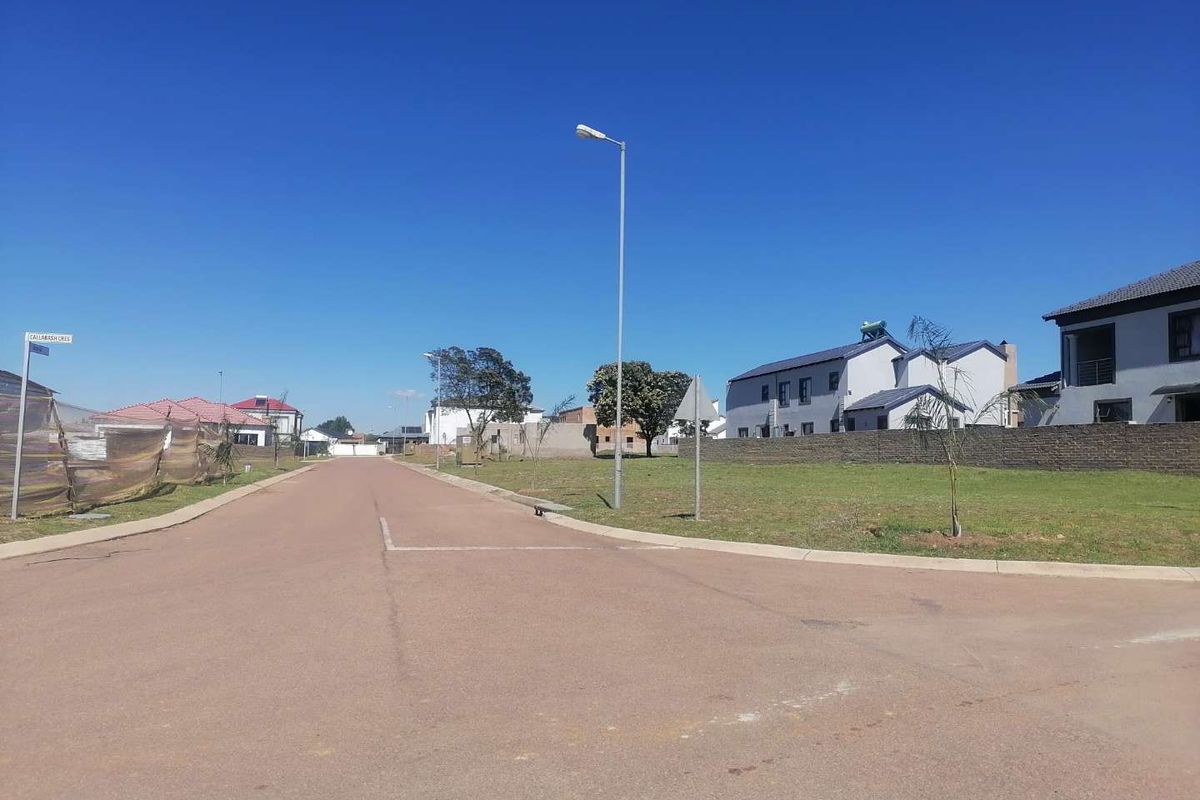 A clear street view of a residential area featuring paved roads, street lighting, and established boundary walls in a well-maintained neighborhood.