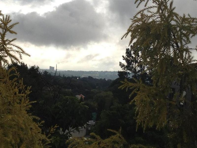 An elevated view overlooking a suburban landscape with mature trees under a cloudy sky.