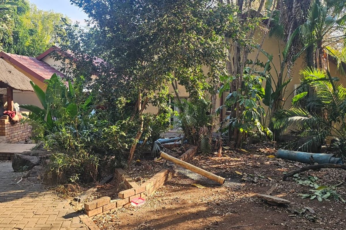 Spacious house in Elandsrand - Photo 4