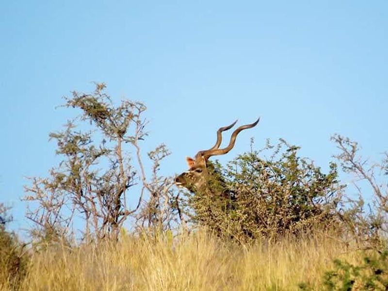 Exceptional farming opportunity just 75 km Southeast of Keetmanshoop! - Photo 9
