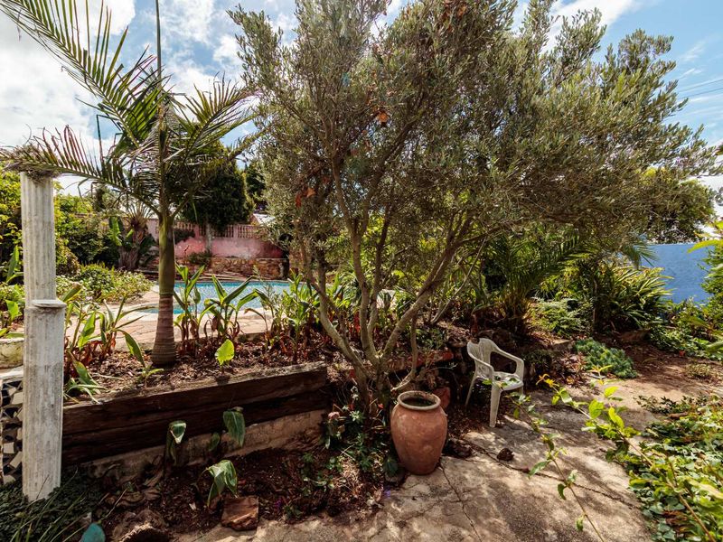 A view of a residential garden featuring mature trees, established landscaping, a paved patio area, and a swimming pool in the background.