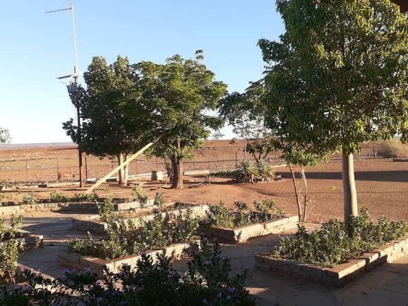 A view of a rural garden featuring raised brick planting beds, stone paving, and established trees overlooking an open farm landscape.