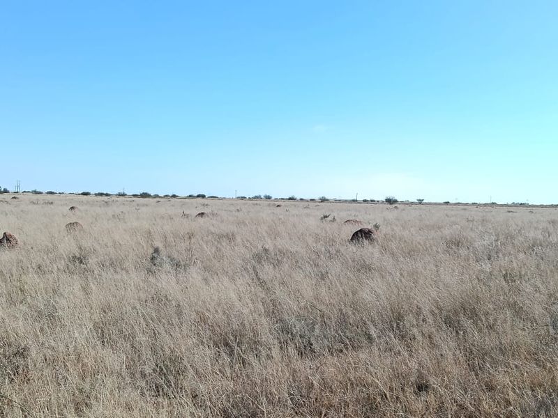 IRRIGATION FARM. 20 BORHOLES. SEVEN IRRIGATION TOWERS. CATTLE FARM - Photo 6
