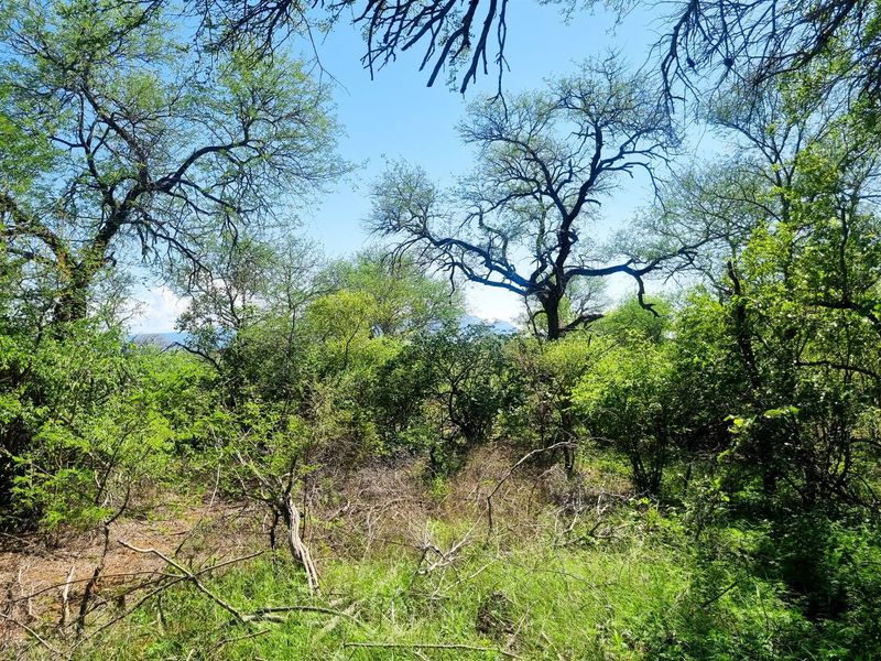 Exceptional Double Stand in Prime Riversdale Farm Location - Photo 4