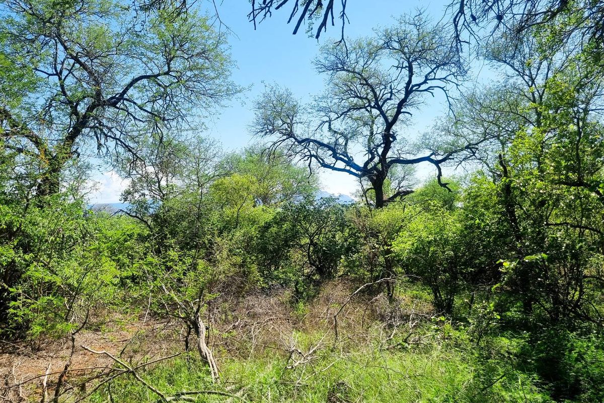 Exceptional Double Stand in Prime Riversdale Farm Location - Photo 4