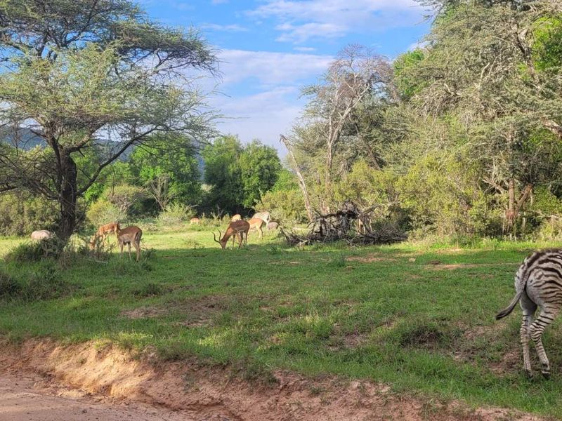 Tranquil Corner Stand - Prime Location - Photo 8