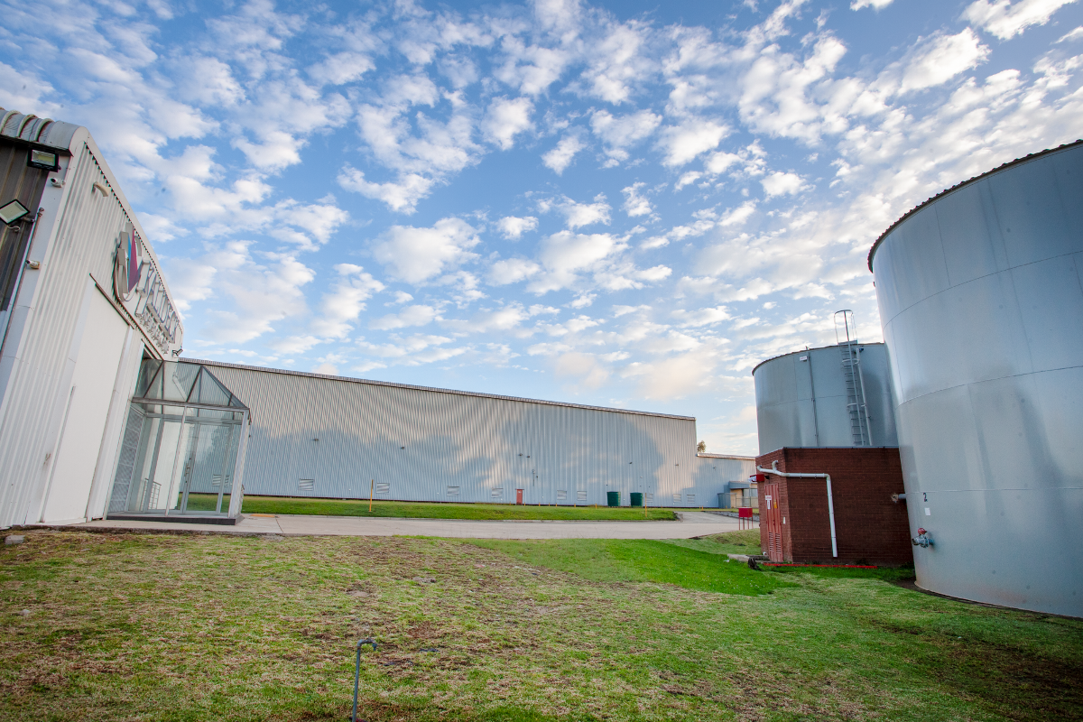 Prime Tenanted Industrial Investment Opportunity – Selby, Johannesburg - Photo 4