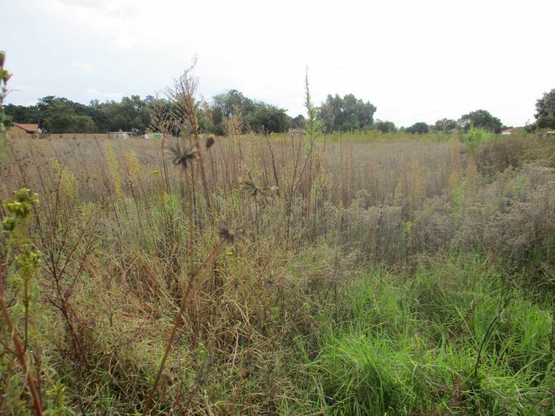 SERVICES ALREADY IN PLACE - Photo 5