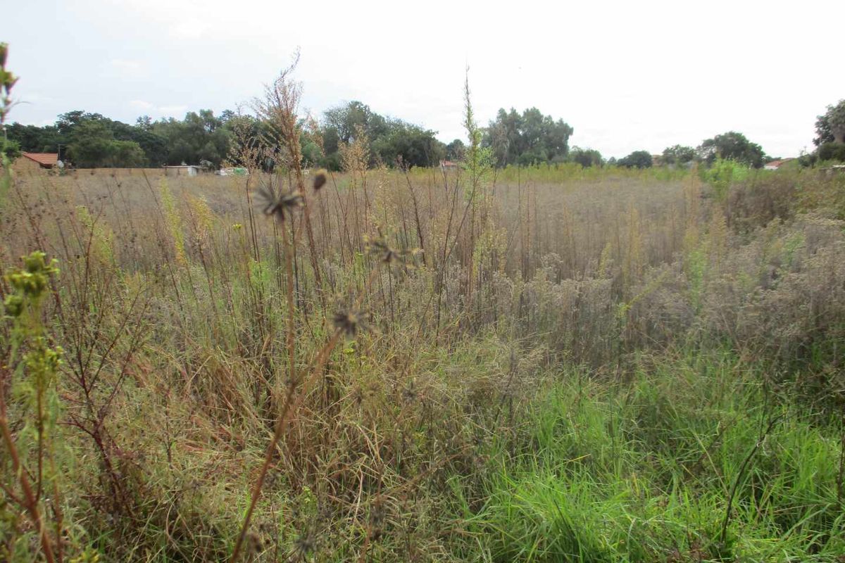 SERVICES ALREADY IN PLACE - Photo 5