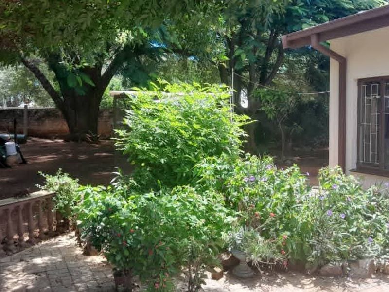 A rear garden view featuring a paved patio area, established trees, and a building exterior with security bars on the windows.