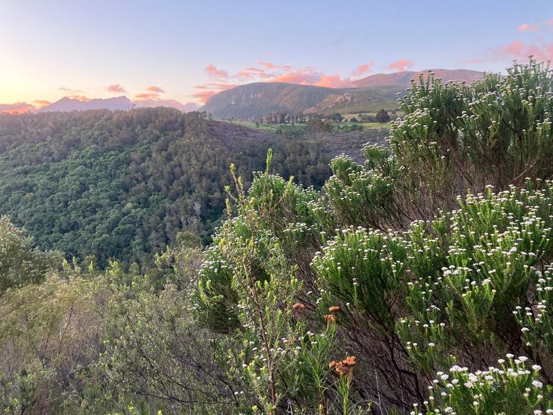 ***Local or International : Build your eco-friendly home in Hoekwil with Scenic views of the River and Mountains*** 3.6 Hectares - Photo 10