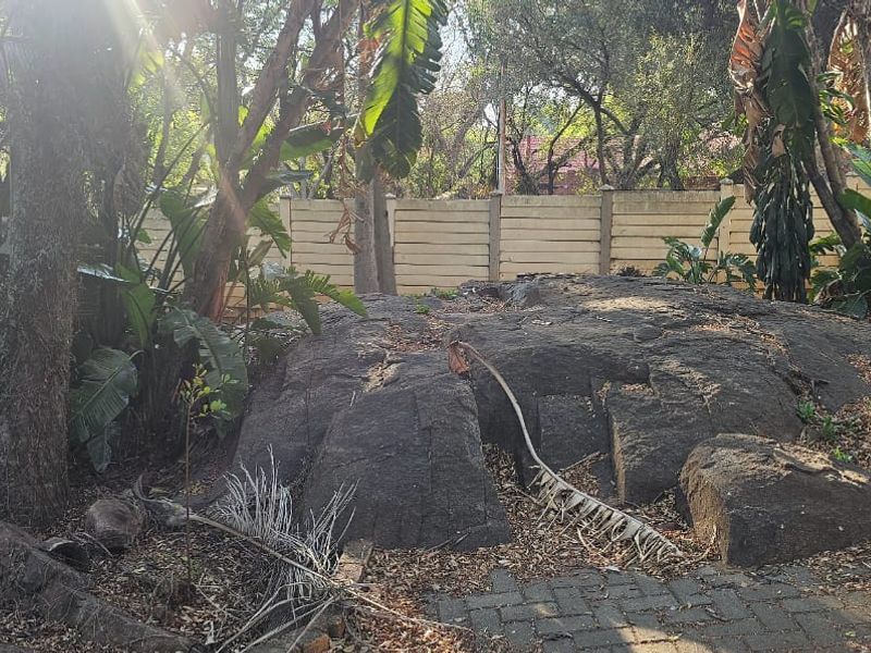 Spacious house in Elandsrand - Photo 5