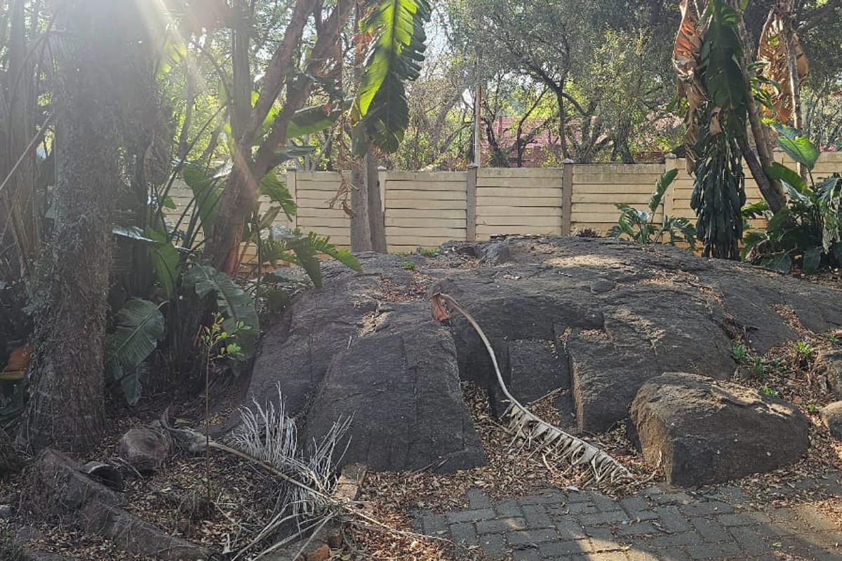 Spacious house in Elandsrand - Photo 5