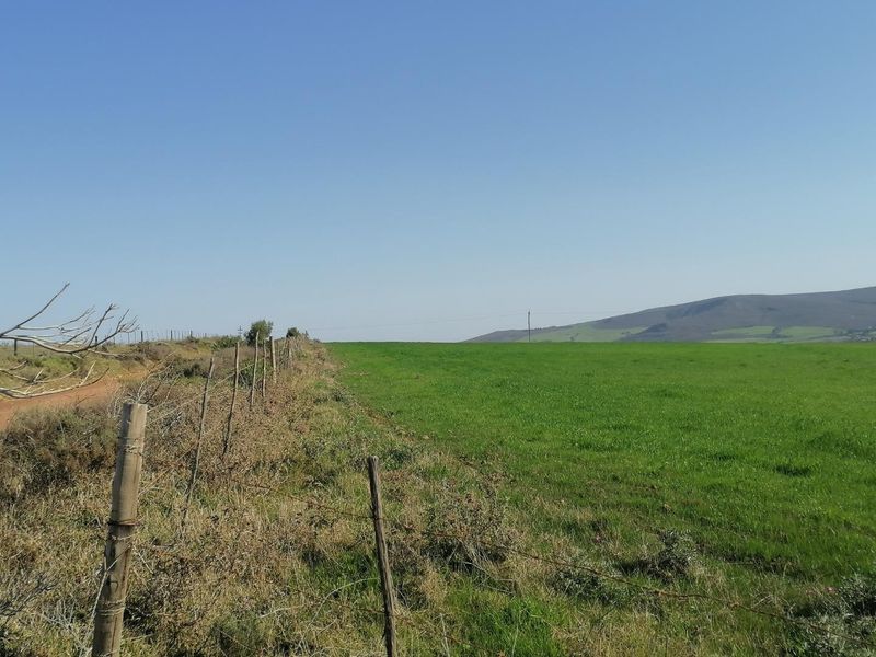 Getting back to Basics - Photo 2