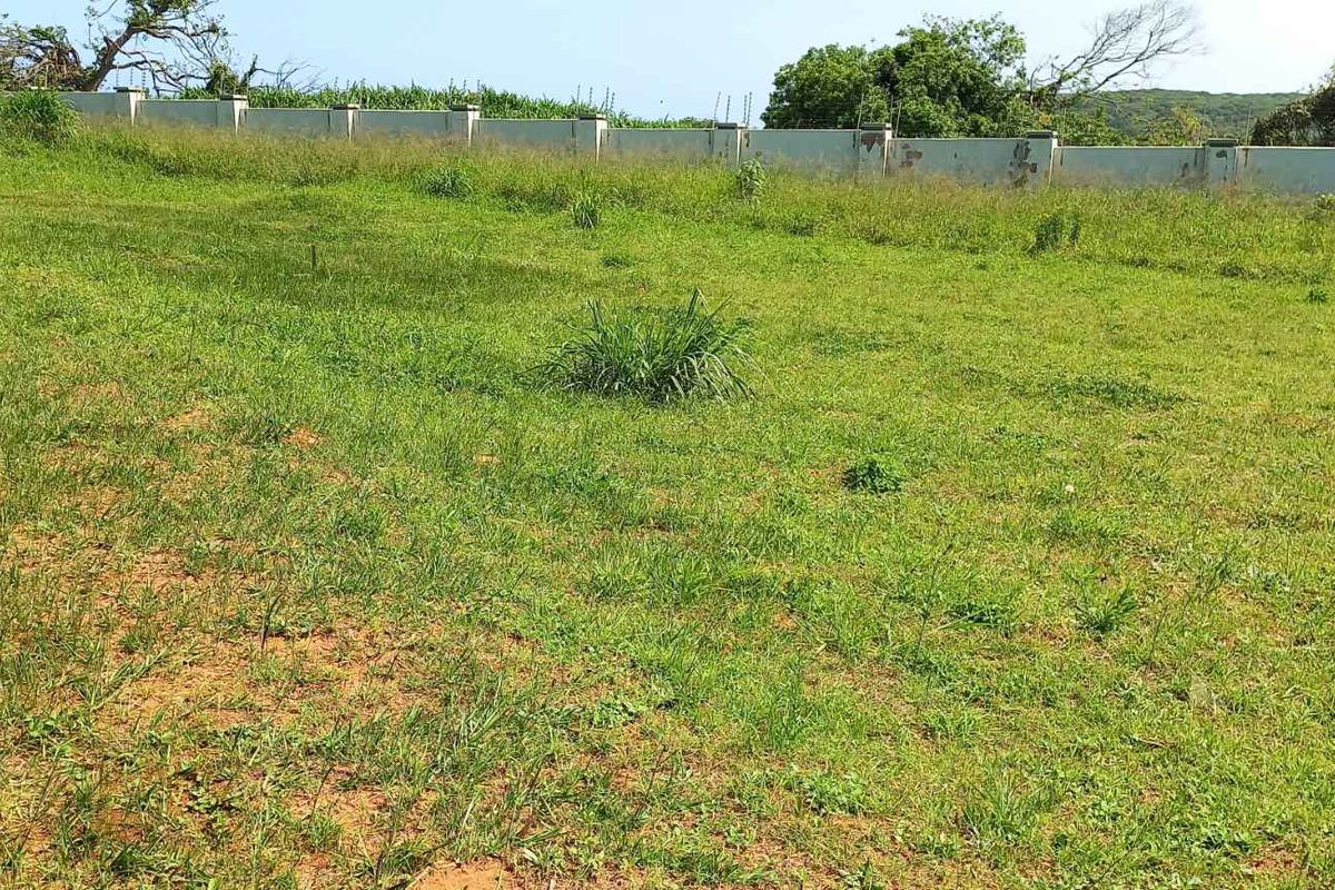 Prime peace of Land for Sale - Photo 4