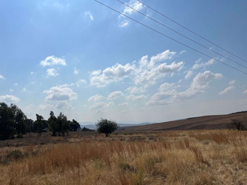 Huge Land with lots of potential - Photo 2