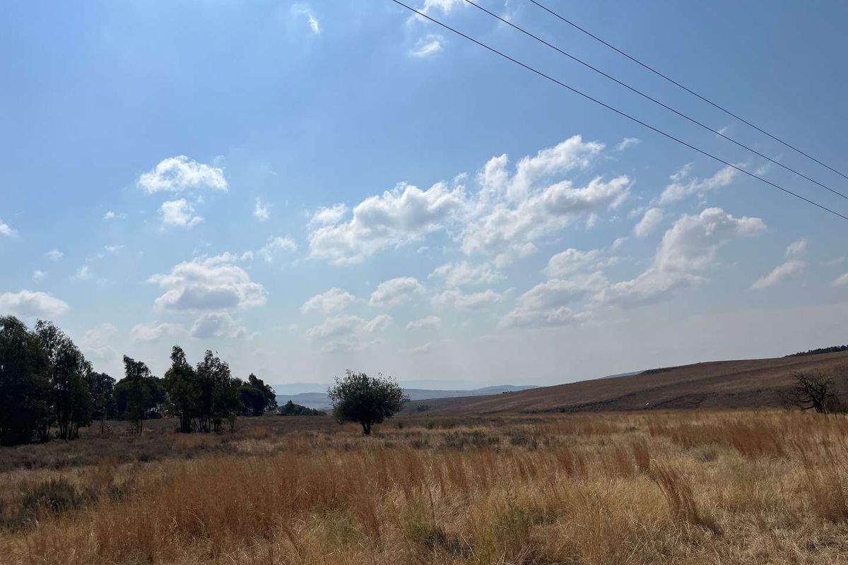 Huge Land with lots of potential - Photo 2