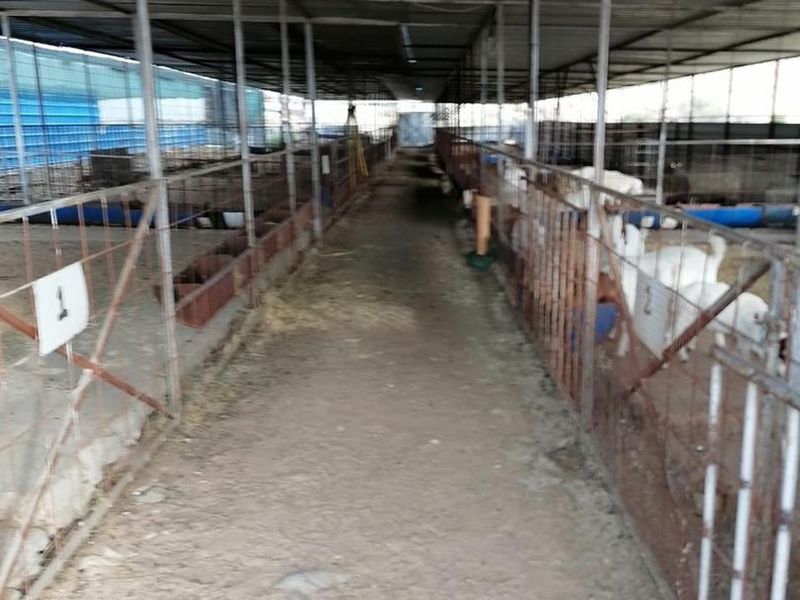 Usakos: Smallholding with Intensive Sheep Farming Unit - Photo 9