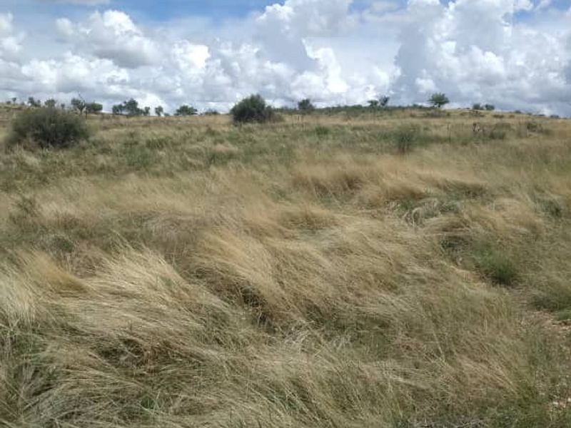 A view of an undeveloped residential plot featuring natural grass and vegetation under a clear blue sky.