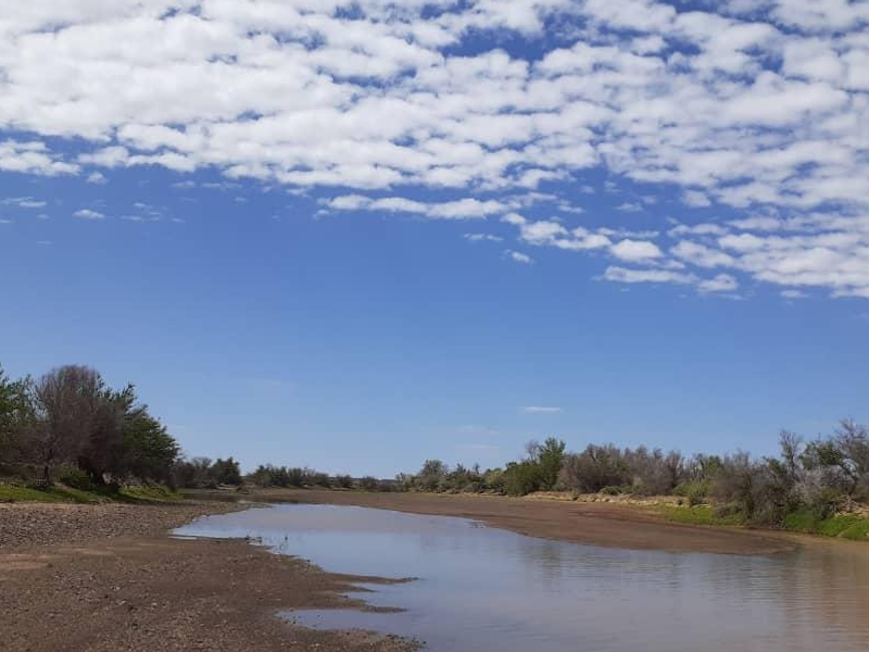 Farm For Sale - Photo 4