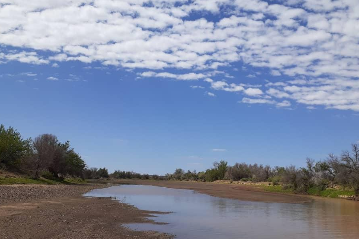 Farm For Sale - Photo 4