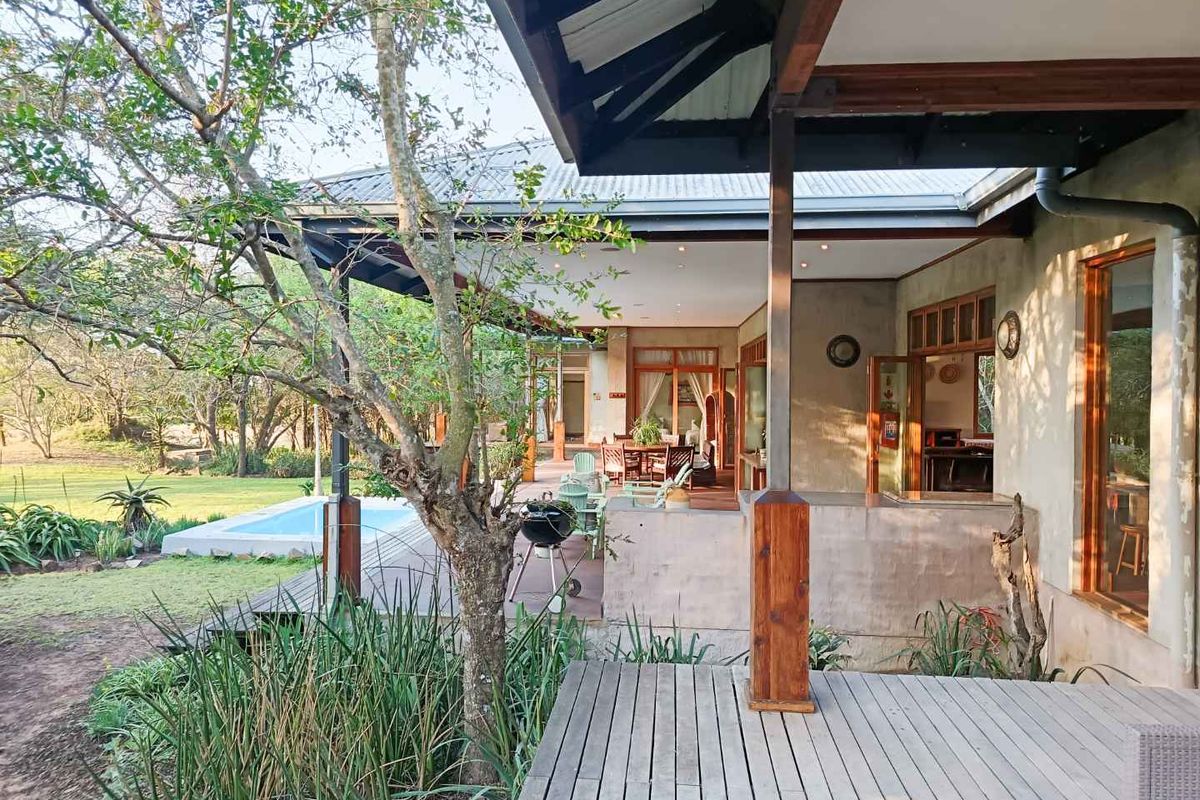 Spacious covered timber deck overlooking the garden and swimming pool, featuring exposed timber rafters and seamless indoor-outdoor flow.