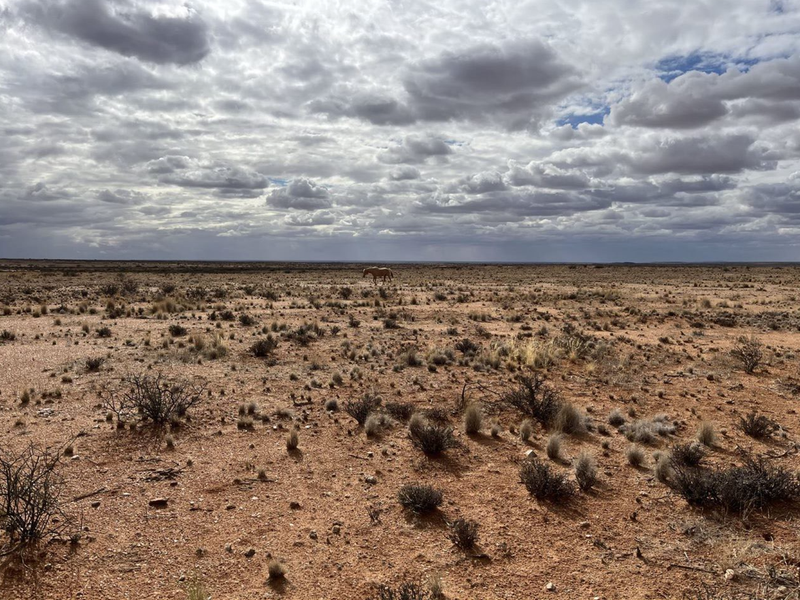 Boesmanland farm for sale near Kenhardt. - Photo 2