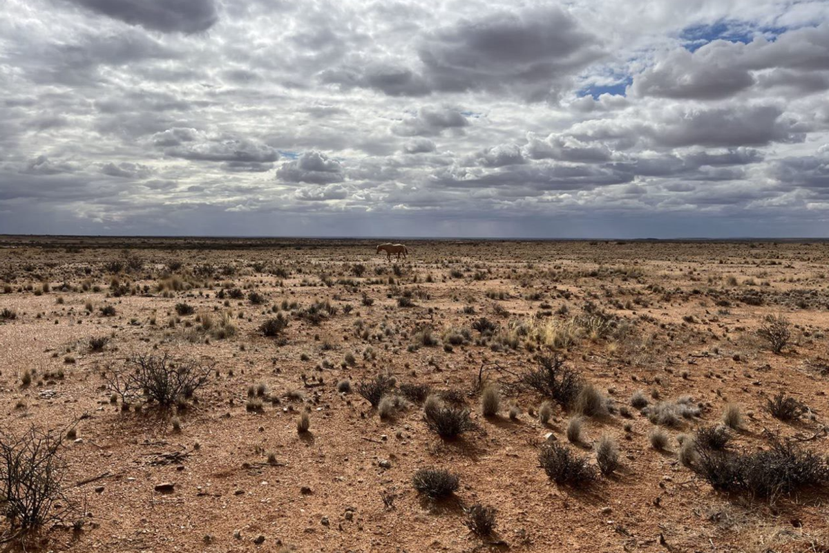 Boesmanland farm for sale near Kenhardt. - Photo 2