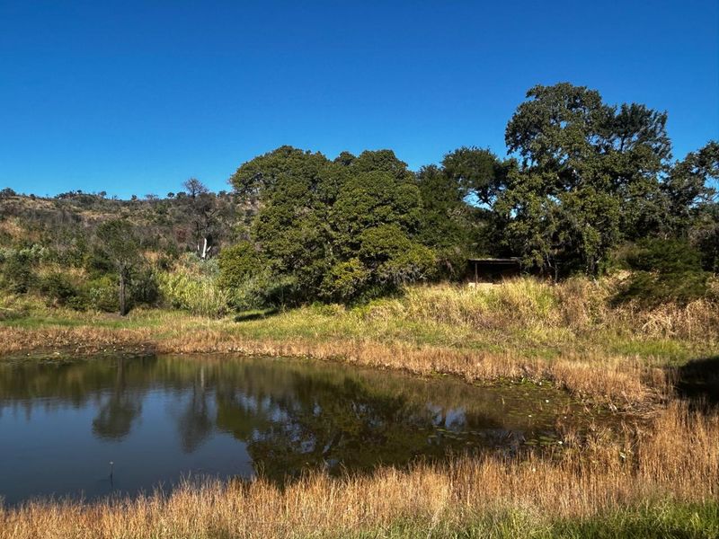 The Perfect Retreat: Farm Life Close to Tzaneen! - Photo 9