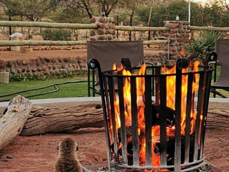 Hunting / Guest Farm in the Erongo Mountains N$ 23 Mil - Photo 6