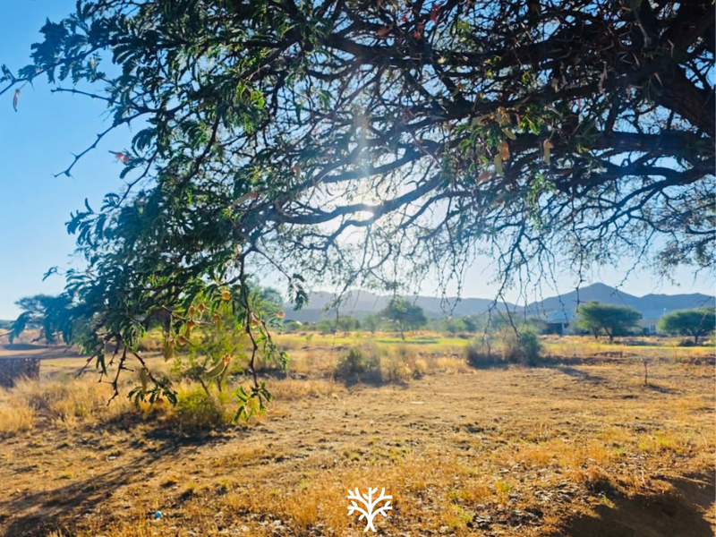 A scenic view of the natural landscape and surrounding terrain, featuring mature trees and distant mountain vistas on this vacant residential land.