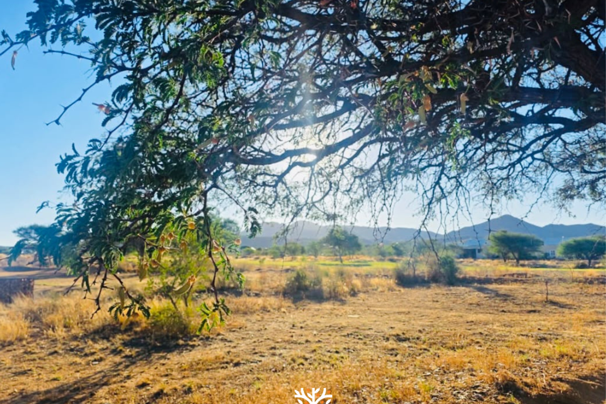 A scenic view of the natural landscape and surrounding terrain, featuring mature trees and distant mountain vistas on this vacant residential land.