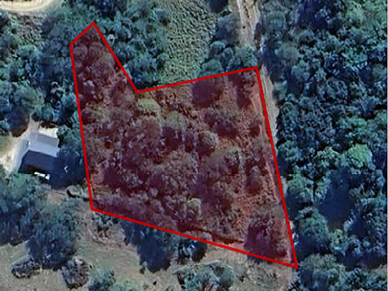 Spectacular Mountain Views & Exceptional Privacy - Photo 4