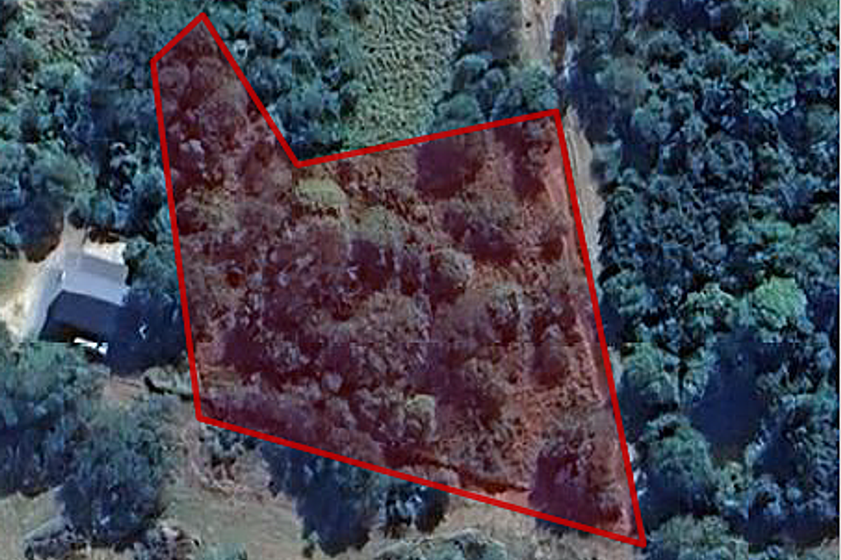 Spectacular Mountain Views & Exceptional Privacy - Photo 4