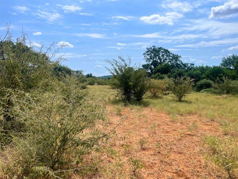 Riverside Stand in Elephant Rock Eco Estate - Photo 8