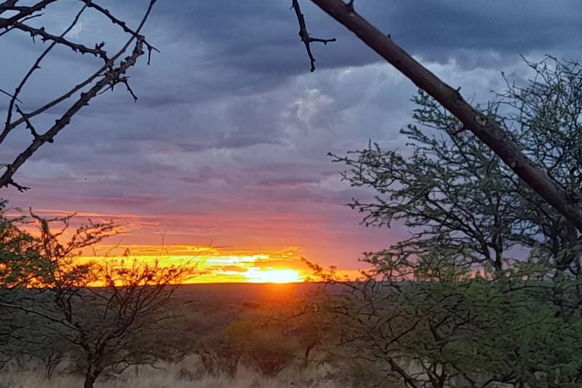 Gobabis Geust farm - Photo 4